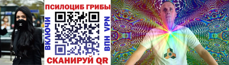 купить наркоту  Южа  ОМГ ОМГ зеркало  Псилоцибиновые грибы мухоморы 